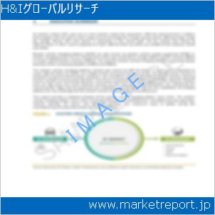 市場と産業調査レポートのイメージ